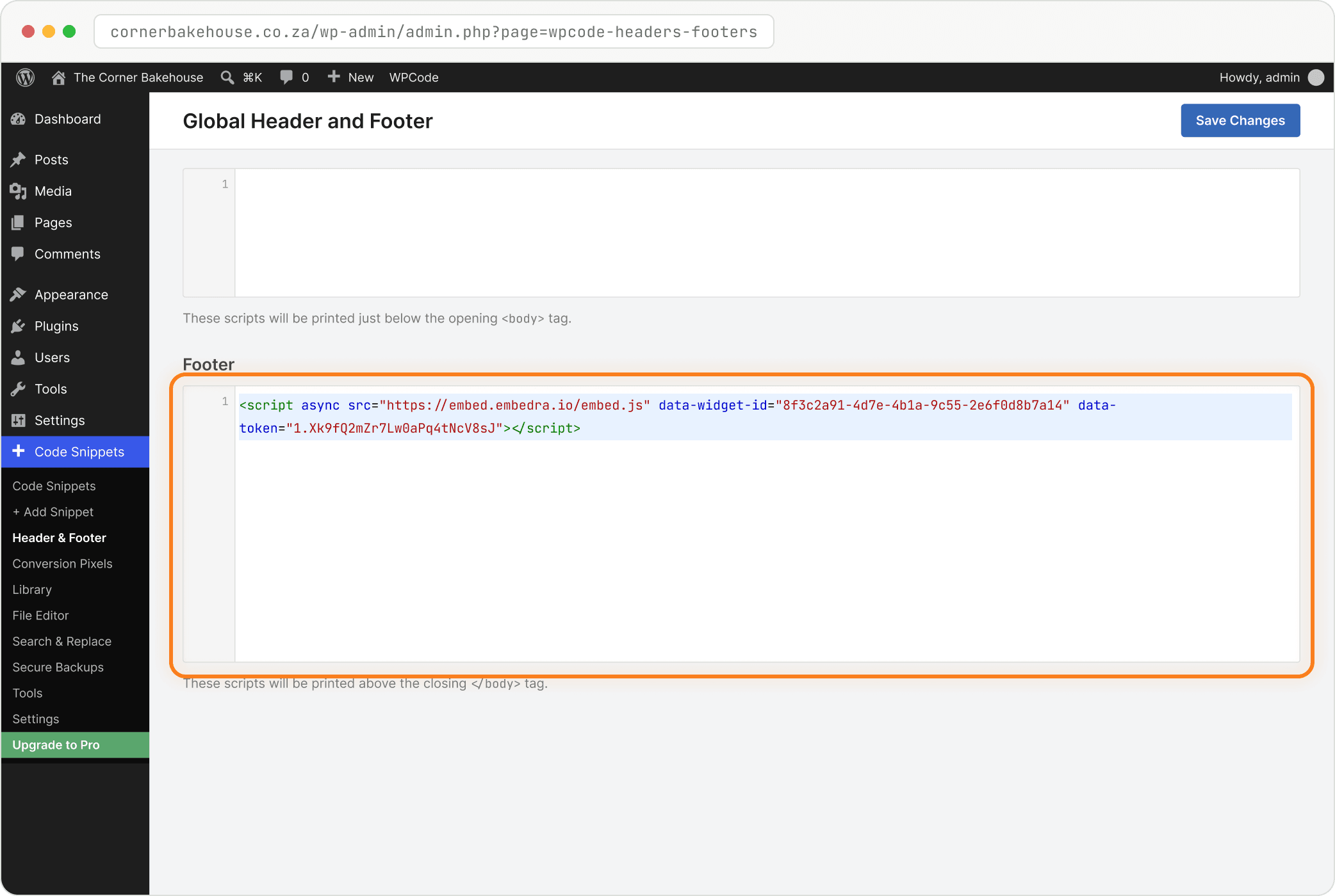 Step: Paste into WPCode's Footer box